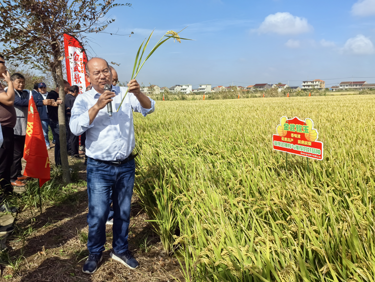 圖片3.png 圖片3.png